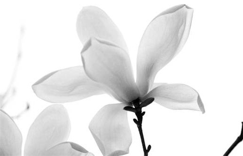 2025年05月09日动土是否大吉？ 今日建筑房屋有没有问题？