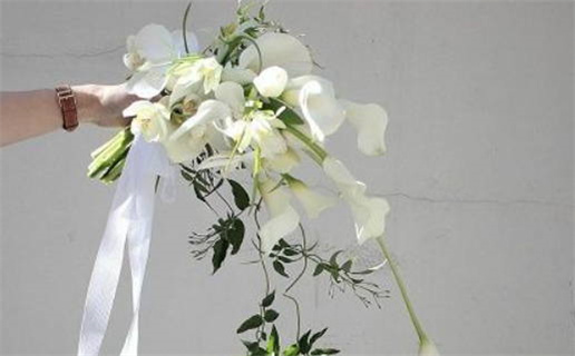 2026年11月17日领证合适吗？ 领证算好日子？