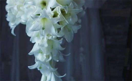 2026年10月08日这日子领证旺不旺？ 今日登记领证好吗