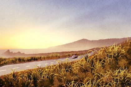 2026年09月14日提车是好日子吗? 今日提新车行吗? 2026年09月14日提车是好日子吗? 今日提新车行吗?