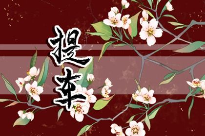 2025年07月25日提车行吗？ 提车买车合不合适？