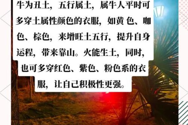 属牛的命理分析与运势解读 属牛的命理分析与运势解读