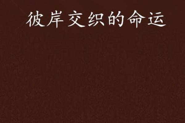 办公室风水与命运交织的奇幻之旅