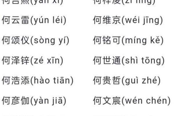 姓何的五行属什么？探秘你的命运与性格密码