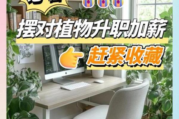 属龙职场成功秘诀：办公室风水布局指南