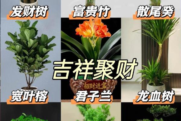 影响办公室风水的常见物品摆放禁忌