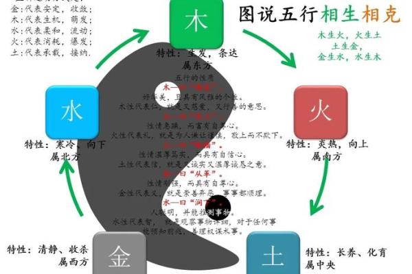 五行推算法揭秘：如何通过五行分析改变你的命运轨迹