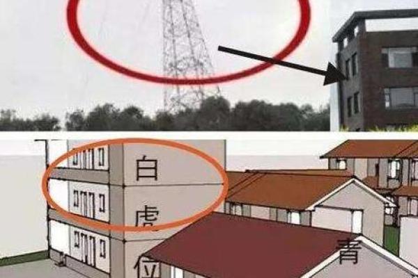 风水学中龙的摆放位置,影响你家运势的关键 风水学中龙的摆放位置,影响你家运势的关键