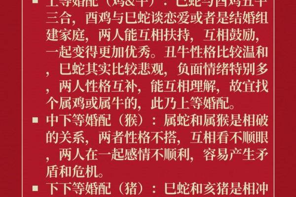属龙与属狗的婚配：天作之合还是注定挑战