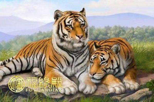 虎年夫妻缘分：男虎女虎婚姻的优缺点分析