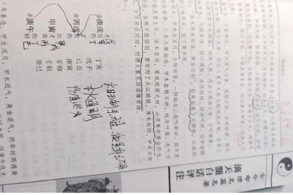 甲木在五行中的深层含义与生活中的应用解析 甲木在五行中的深层含义与生活中的应用解析