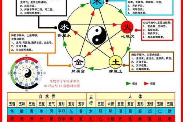 周易五行字典解析：了解五行属性与命运关系