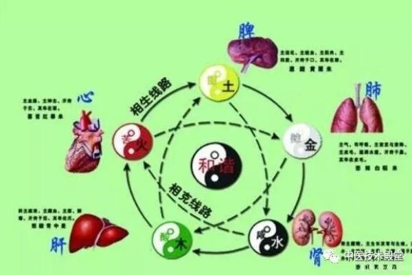 倦字的五行分析:了解它如何影响你的健康和运程 倦字的五行分析:了解它如何影响你的健康和运程