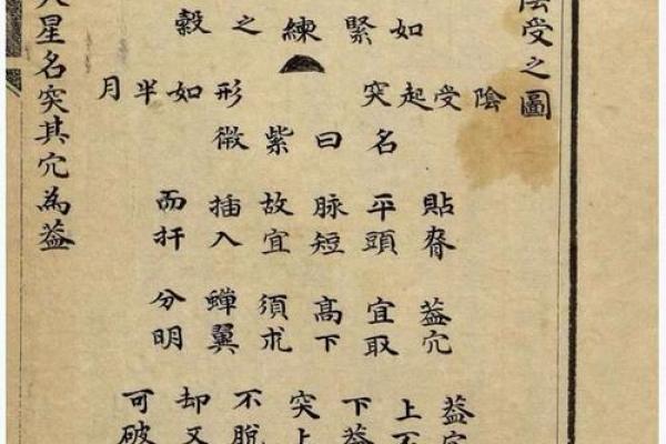 风水学核心理论解析与实践应用 风水学核心理论解析与实践应用