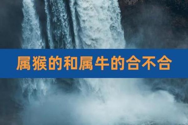 从五行角度看属牛和属猴的配对是否合适