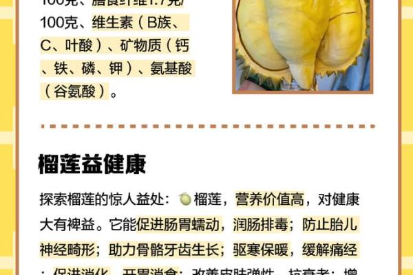 榴莲名字背后的故事与文化意义 榴莲名字背后的故事与文化意义