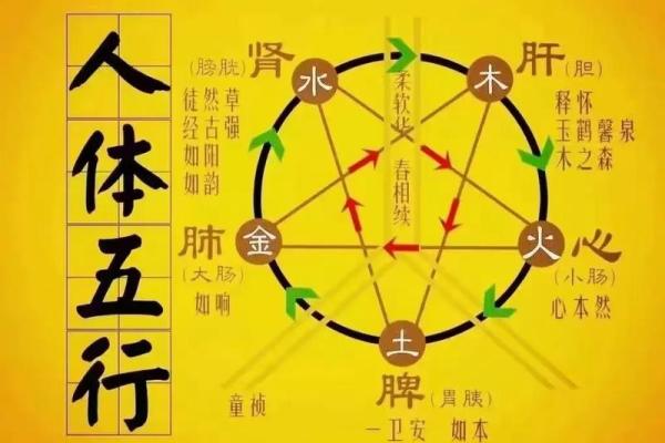 掌握一日五行,提升生活质量的实用技巧 掌握一日五行,提升生活质量的实用技巧