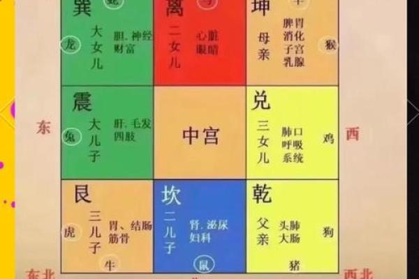 风水全息论揭秘：如何通过全息理论改善居住环境的能量流动