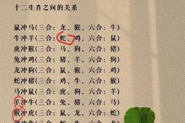 从生肖看牛和兔的爱情运势是否匹配