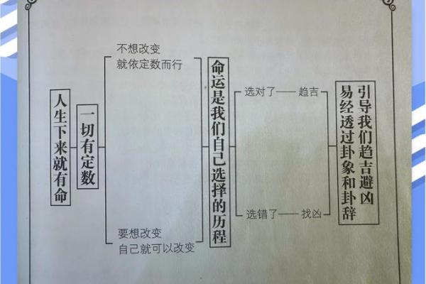 鸡宝宝五行解析:属什么与命运运势有何关系? 鸡宝宝五行解析:属什么与命运运势有何关系?