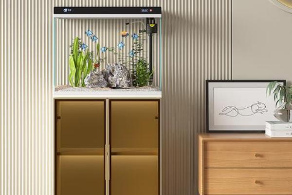 量身定制曲靖家居风水鱼缸 打造独一无二的家居气场 量身定制曲靖家居风水鱼缸 打造独一无二的家居气场