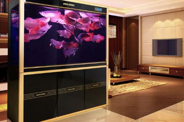 提升家居风水的必备单品——昆明鱼缸销售推荐 提升家居风水的必备单品——昆明鱼缸销售推荐