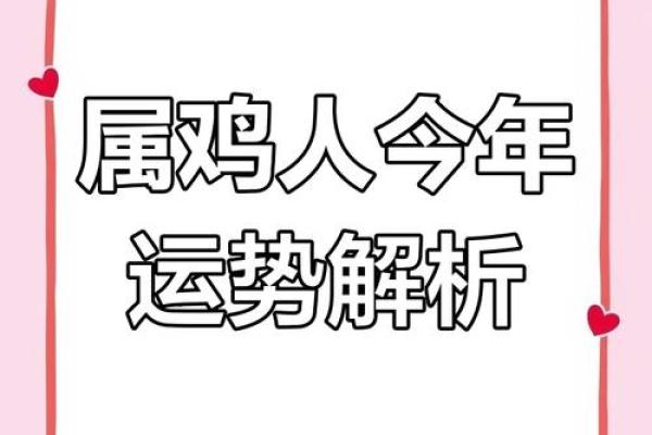 属鸡人五年运程分析:挑战与机遇并存 属鸡人五年运程分析:挑战与机遇并存