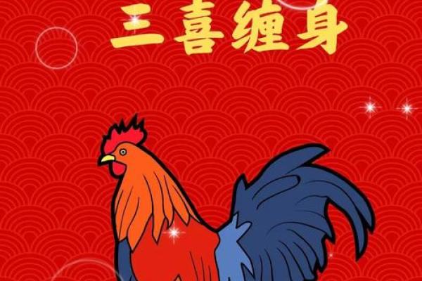 属鸡人五年运程分析:挑战与机遇并存 属鸡人五年运程分析:挑战与机遇并存