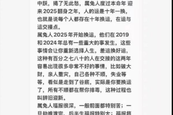 生肖兔运程详解：事业与感情的双重考验