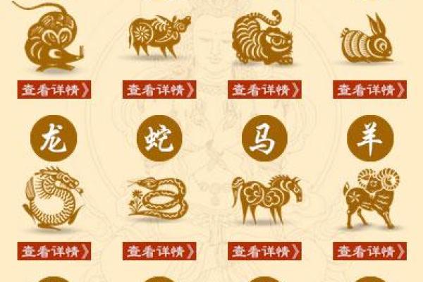 鸡年鼠运程解析：如何掌握命运关键