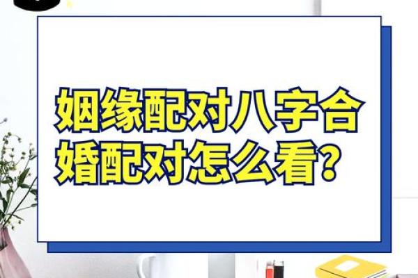 如何根据生辰八字婚配表选择理想伴侣,专家来支招 如何根据生辰八字婚配表选择理想伴侣,专家来支招