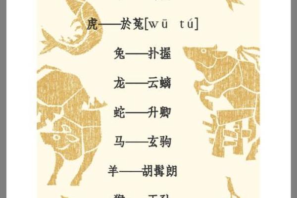 男羊女狗配对的性格和缘分分析