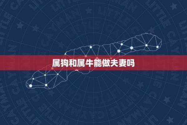 属牛女和属狗男的性格与婚配建议