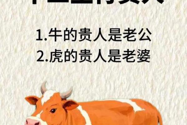属牛女和属狗男的性格与婚配建议