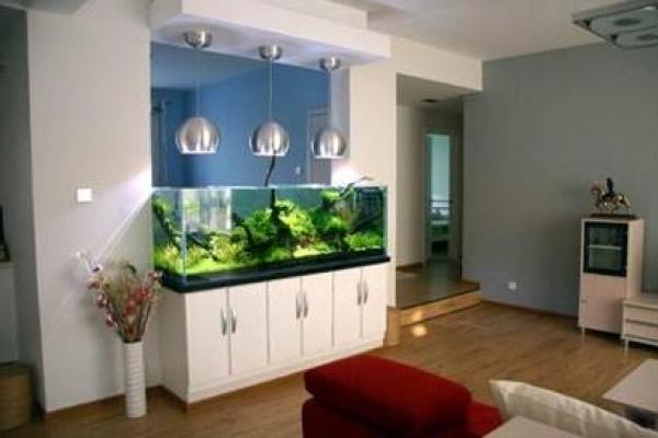 免费家居风水鱼缸摆放秘籍,改善家庭运势 免费家居风水鱼缸摆放秘籍,改善家庭运势