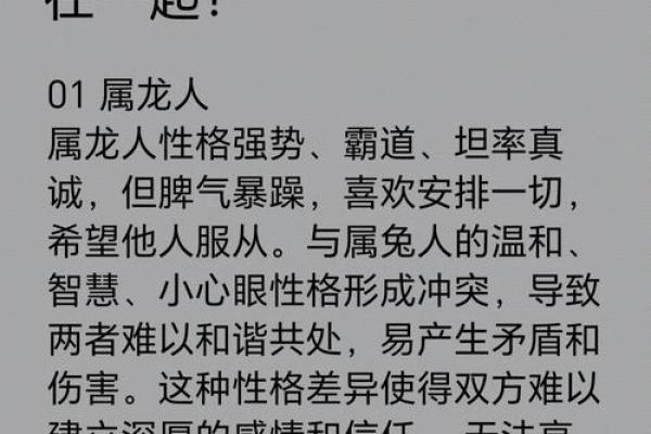 生肖鼠与生肖龙合适吗 深入探讨两者的性格与契合度