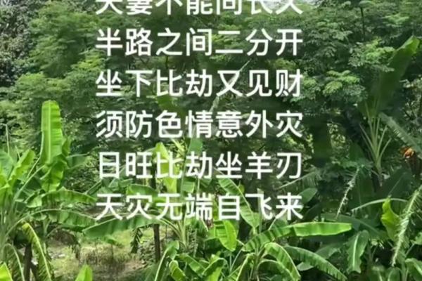 看生辰八字决定买房?这些你必须了解的事 看生辰八字决定买房?这些你必须了解的事