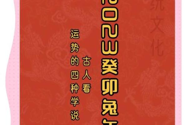 兔年运程大揭秘，生肖兔女的生活与财运走向