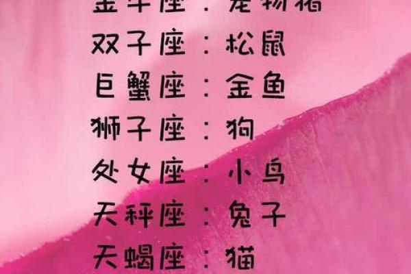 猴狗组合：性格互补的最佳搭档