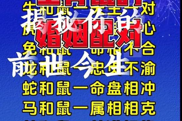 生肖男猪与女鼠的匹配性如何？