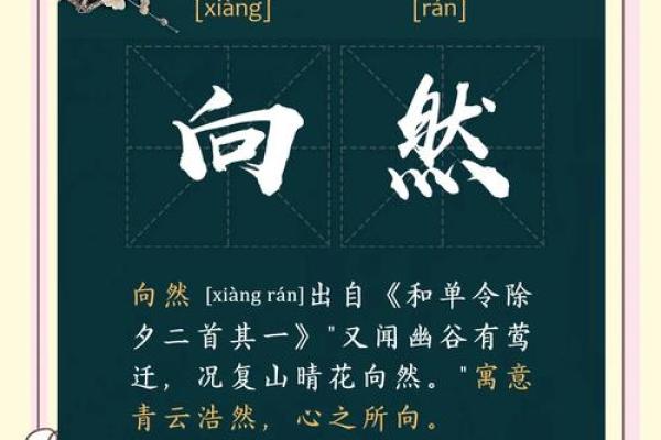 具有时尚感的名字，迎合潮流趋势