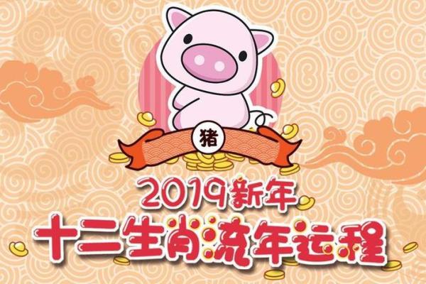 猪年每月运程详解与预测