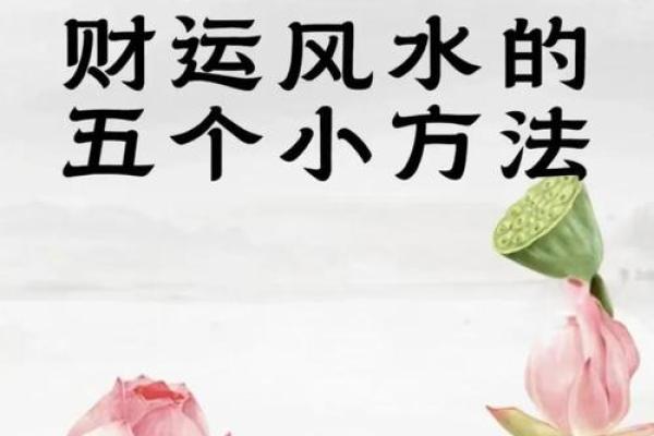 探索加里招财风水提升财运的秘密 探索加里招财风水提升财运的秘密