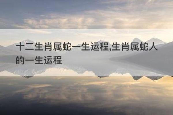 蛇与虎的缘分：他们的关系能否长久？