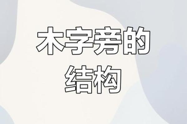 木字旁名字的历史渊源与现代趋势