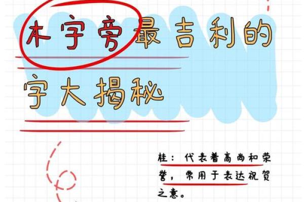 木字旁名字的历史渊源与现代趋势