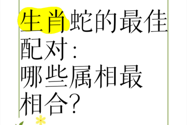 属狗与属蛇缘分深浅探讨