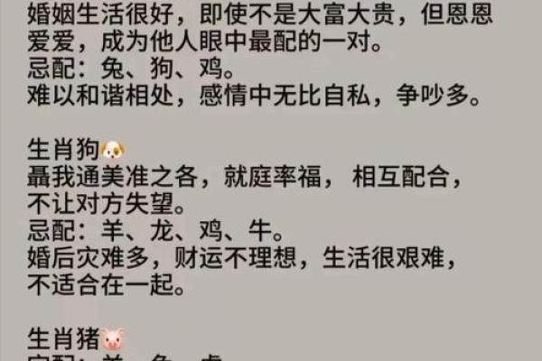 男牛女鼠婚姻配对分析与实际情况探讨