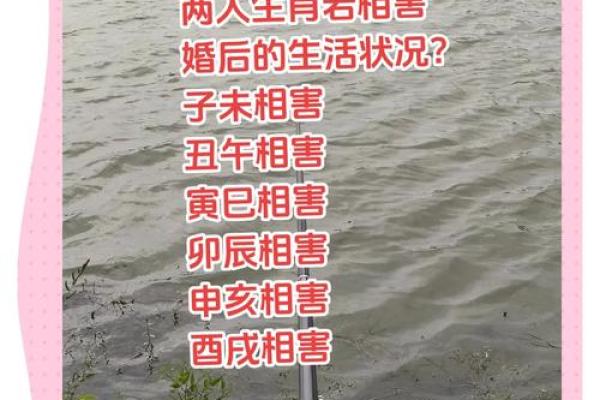 牛鼠能否和谐共处 解读生肖配对的利与弊