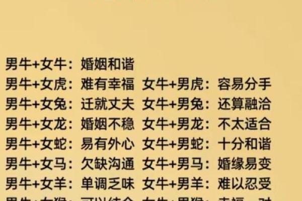 牛鼠能否和谐共处 解读生肖配对的利与弊
